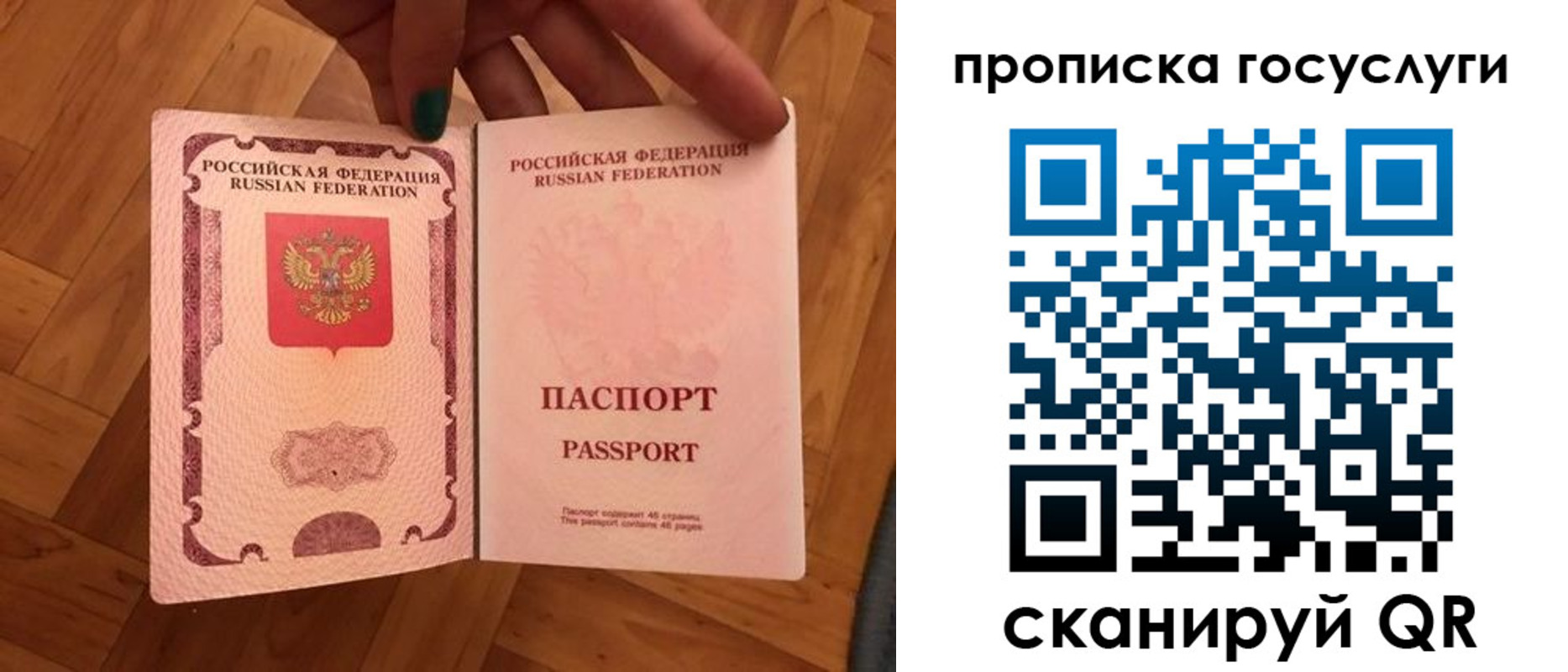 прописка в Северске